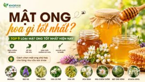 9 Loại mật ong hoa tốt nhất hiện nay: Chuyên gia dinh dưỡng giải đáp mật ong hoa gì tốt cho sức khỏe